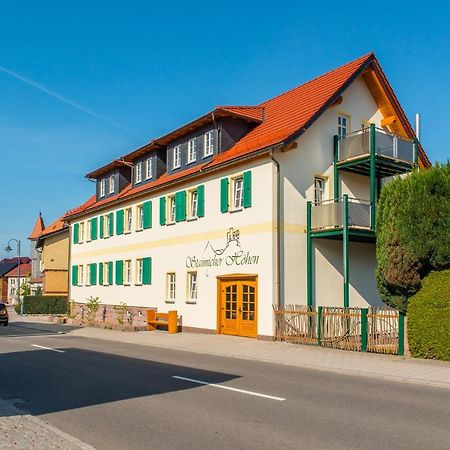 Staimicher Hoehen - Premium Appartements Kurort Steinbach-Hallenberg Экстерьер фото