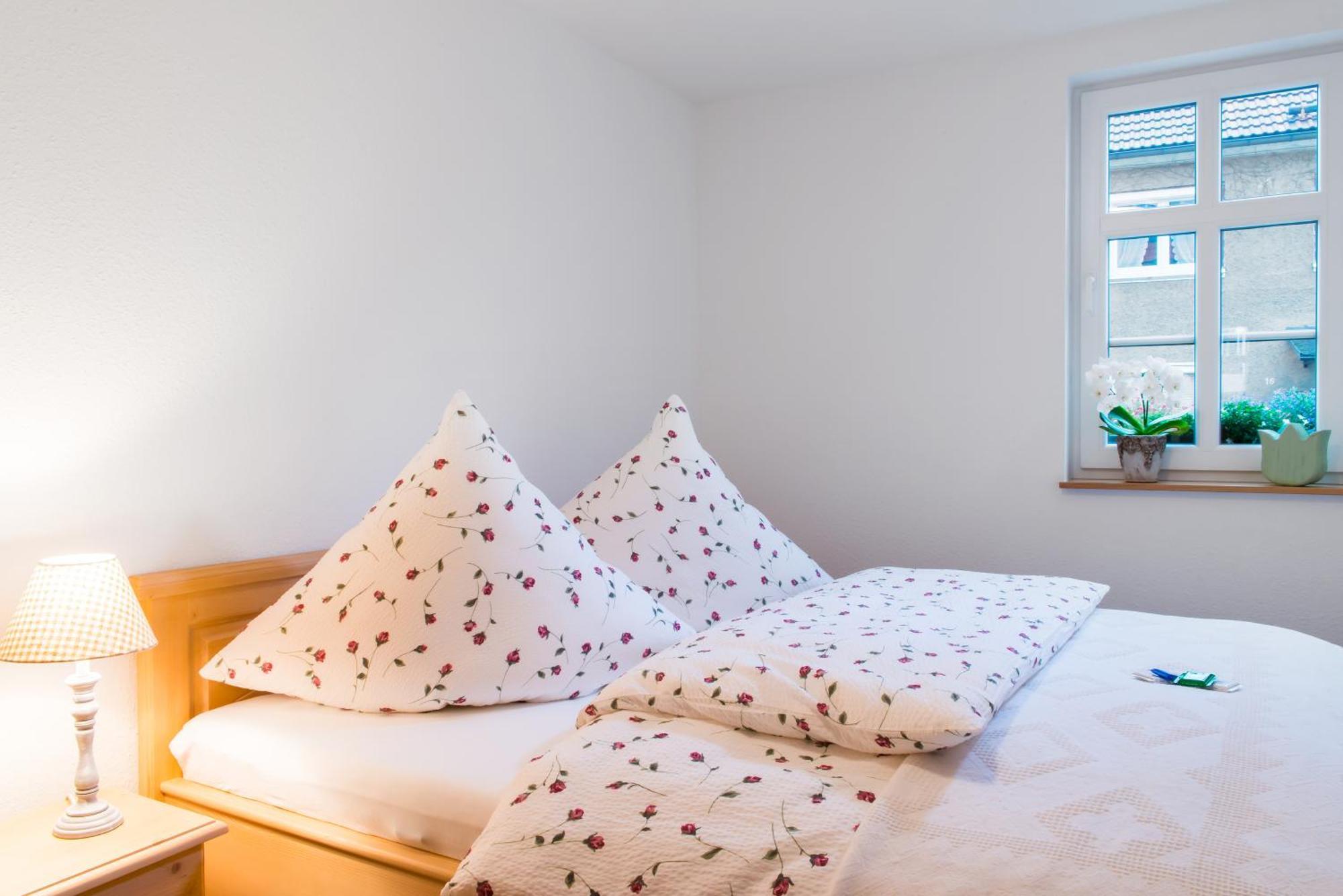 Staimicher Hoehen - Premium Appartements Kurort Steinbach-Hallenberg Номер фото